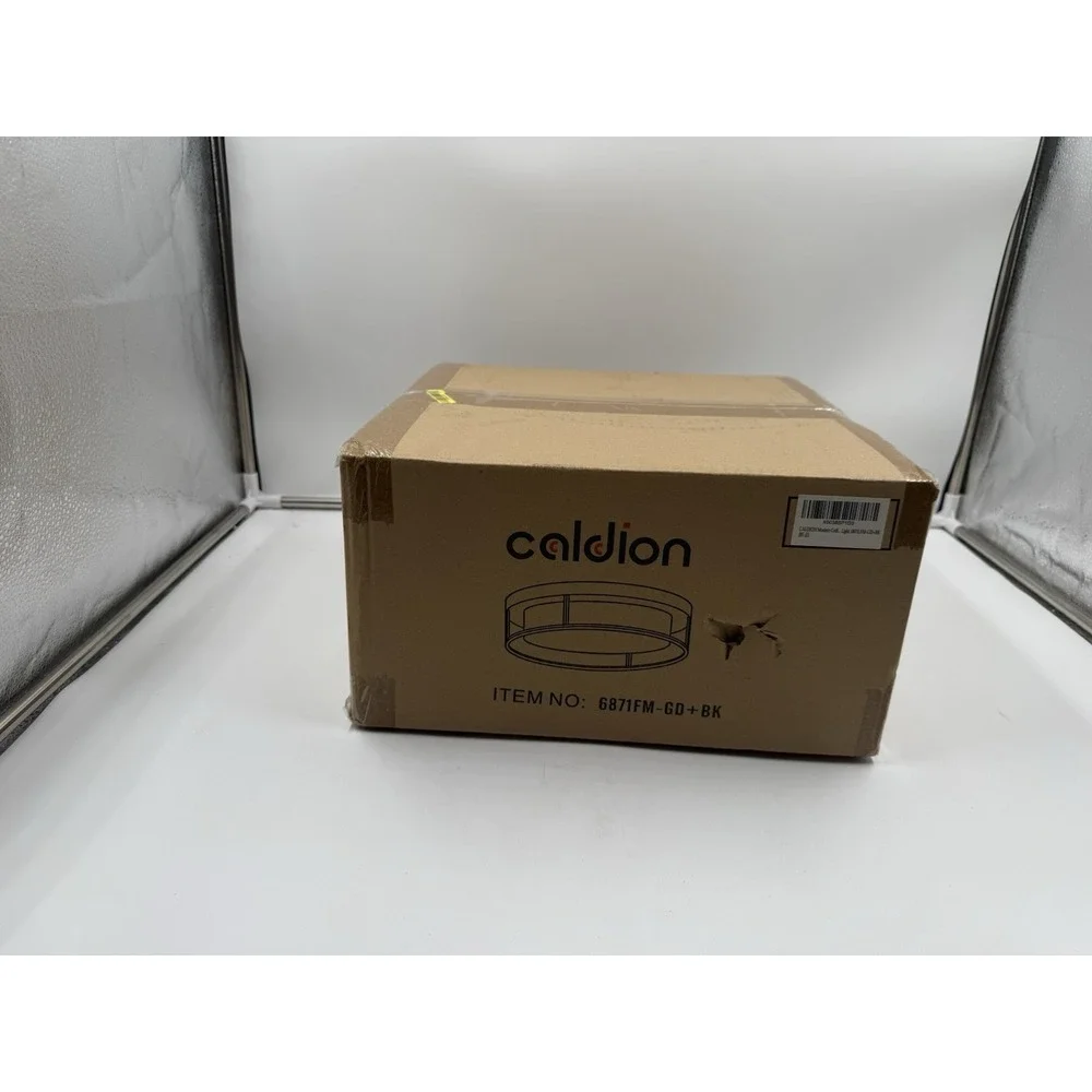 Caldion LED Modern Ceiling Light Fixture 12inch 24W 1100lumens Flush Mount Ceili